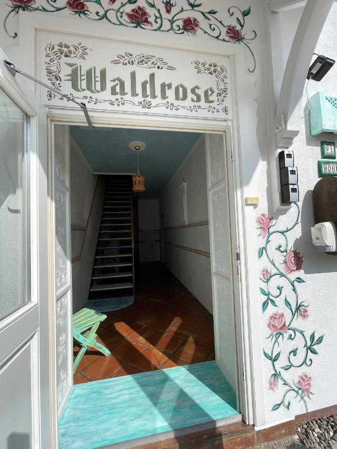 Waldrose