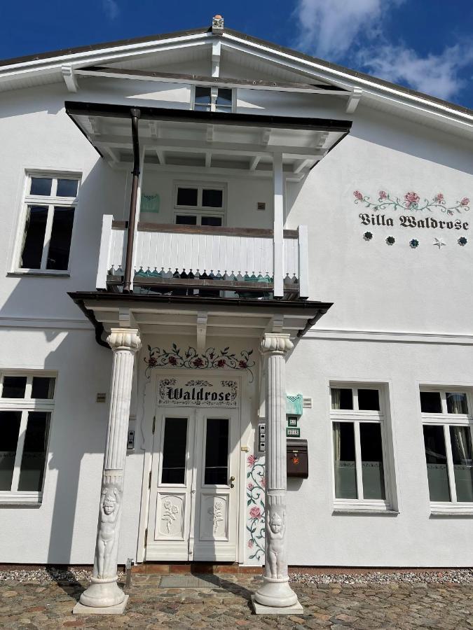 Waldrose Ostseebad Binz